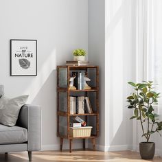 a living room with a couch, book shelf and potted plant