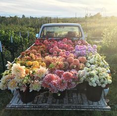 a pick up truck filled with lots of flowers