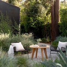 two chairs and a table are in the middle of a garden with trees, bushes, and other plants