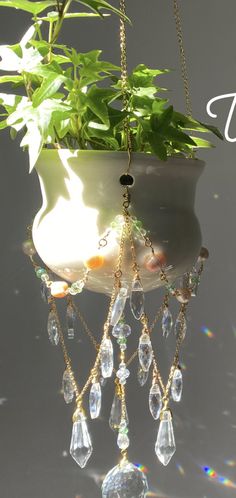 a potted plant hanging from a chain with crystal drops on it's sides