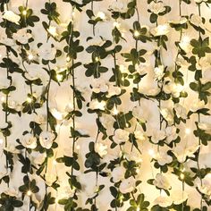 white flowers and green leaves are lit up by string lights on the wall behind them