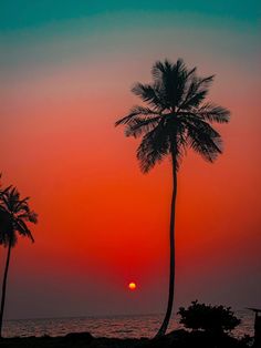 the sun is setting behind two palm trees in front of an ocean and shore line