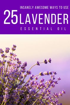 Ways to Use Lavender Essential Oil Lavender Oil Benefits, Lavender Diy, Essential Oil Education, Natural Bug Repellent, Oil Diffuser Recipes, Homemade Lotion, New Hair Growth, Lifestyle Blogs, Natural Pain Relief