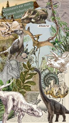 a collage of different types of animals and plants