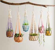 several hanging planters with plants in them