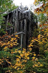 a wooden structure in the woods surrounded by trees with yellow leaves on it's branches