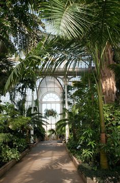 the inside of a large greenhouse with lots of trees and plants on either side of the walkway