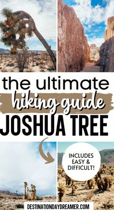 the ultimate hiking guide for joshua tree