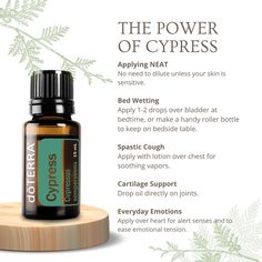 Eo Blends, Essential Oil Perfumes Recipes, Doterra Blends, Doterra Oil, Doterra Business, Doterra Essential Oils Recipes, Healing Essential Oils, Essential Oil Diffuser Blends Recipes, Essential Oils Guide