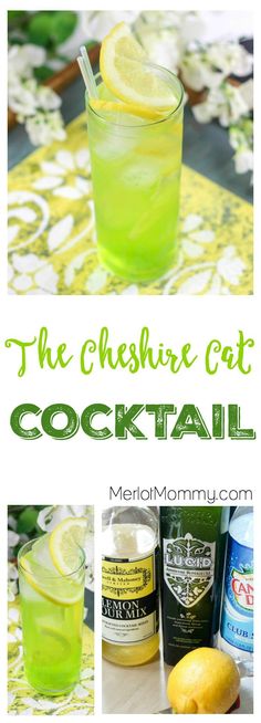 the cheesy cat cocktail recipe with lemons and lime