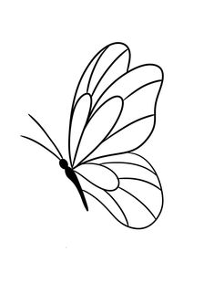 a black and white drawing of a butterfly