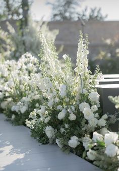 white flowers line the side of a building