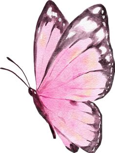 a pink butterfly flying in the air