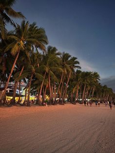 people walking on the beach at night with palm trees lining the shoreline and buildings in the background