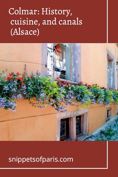 an orange building with flowers growing on the windowsill and below it is a red sign that says colmar history, cuisine, and canals alsace