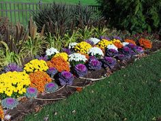 many different colored flowers in a garden