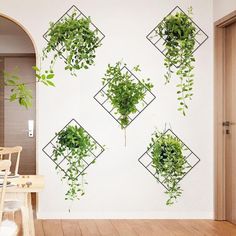 several green plants are hanging on the wall