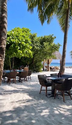 an outdoor dining area with palm trees and chairs on the beach in front of the ocean