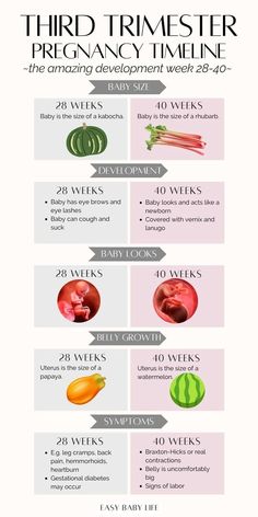 an info sheet describing the different types of fruits and vegetables in each region of the world