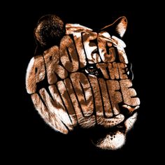 an image of a tiger with the words protect the wild on it's face