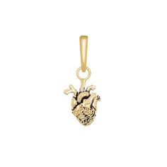 Little Rooms Candelabra Charm Jewelry Mood Board, Charms Collection, Golden Heart, Anatomical Heart, Bird Charm, Human Heart, Zodiac Jewelry, Celestial Jewelry, Brass Charms