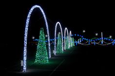 lighted trees and arches in the dark with lights all around them at night, lit up for christmas