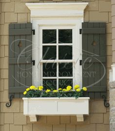 a window with green shutters and yellow flowers in the window sill below it