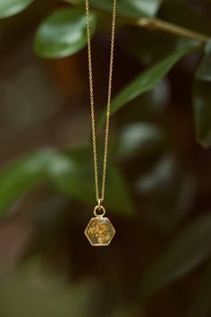 a gold necklace hanging from a tree branch