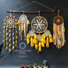 several dream catchers hanging on the wall