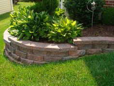 a planter is in the middle of a brick garden bed with green plants growing out of it