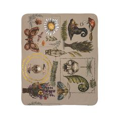 an image of a place mat with flowers and insects on it's side, in neutral colors