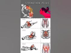 an image of the muscles and their functions in this exercise manual for strength pelvic