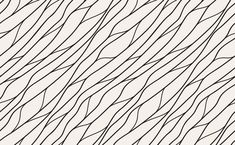 an abstract black and white background with wavy lines