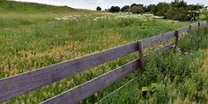 a wooden fence surrounded by tall grass and wildflowers