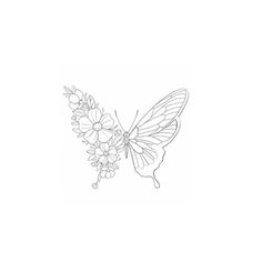 a drawing of a butterfly with flowers on it's back end and wings spread out