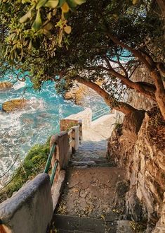 stairs leading down to the ocean with trees on either side