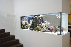 a fish tank sitting on top of a white wall next to some stairs and a stair case