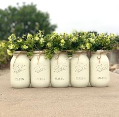 six mason jars with flowers in them are lined up on the ground near some bushes