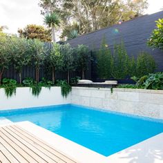 a small pool surrounded by greenery next to a wooden deck