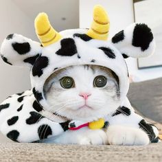 a cat wearing a dalmatian costume with horns on it's head and eyes