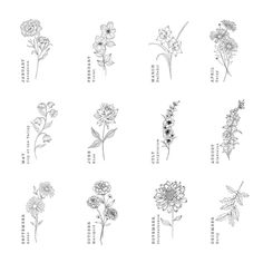 the different flowers are drawn in black and white