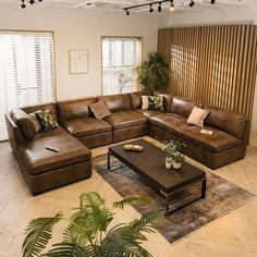 a living room filled with lots of brown furniture and plants on top of a coffee table