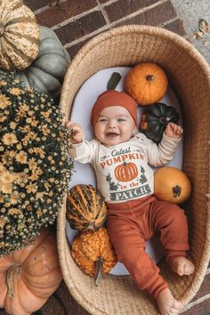 a baby is laying in a basket with pumpkins and gourds on the floor