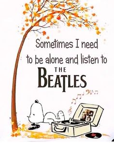 Beatles Lyrics, Beatles Pictures, Beatles Art, Introduce Myself, Beatles Songs, She Loves You, The Fab Four, All You Need Is Love, Beetles