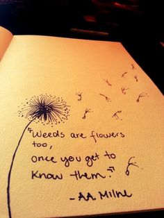 an open book with a dandelion drawn on it and the words weeds are flowers too, they get to know them