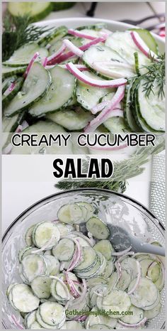 Dive into the refreshing taste of our Classic Creamy Cucumber Salad. Perfect as a healthy side dish, this recipe combines crisp cucumbers and tangy red onions with a smooth dressing of sour cream, mayonnaise, and dill. Best Salad