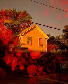 a yellow house with red leaves in the foreground and trees behind it at sunset