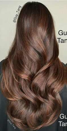 Chestnut Hair, Long Shiny Hair, Cabello Hair, Long Hair Pictures, Brown Hair Balayage, Hair Color And Cut, Long Wavy Hair, Hair Color Balayage, Hair Inspiration Color