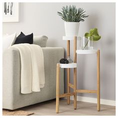 a living room with a couch, table and potted plant on the side stand