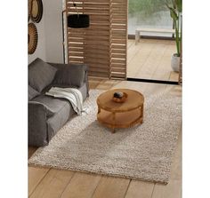 a living room with a gray couch and wooden coffee table in the middle of it